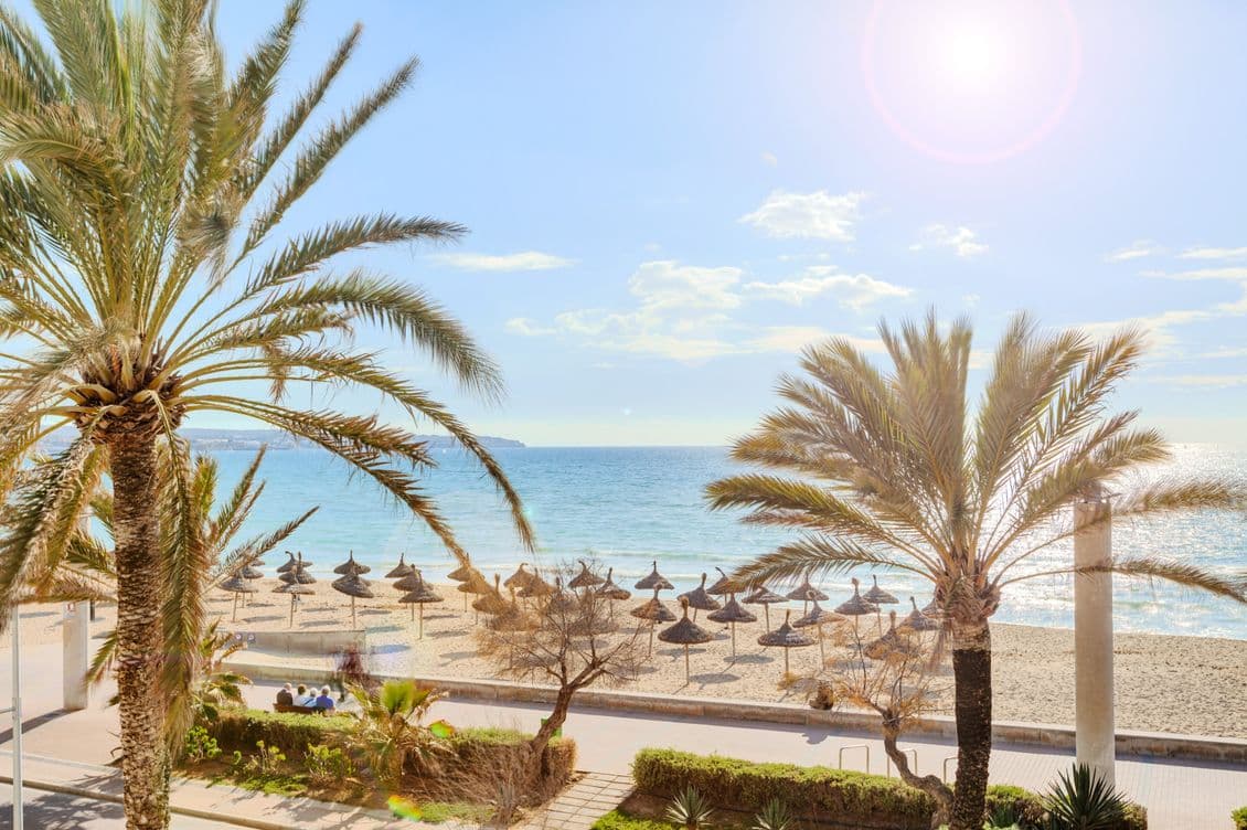 Scenic view of Playa de Palma with palm trees lining the shore, offering a perfect beachfront escape with crystal-clear sea views