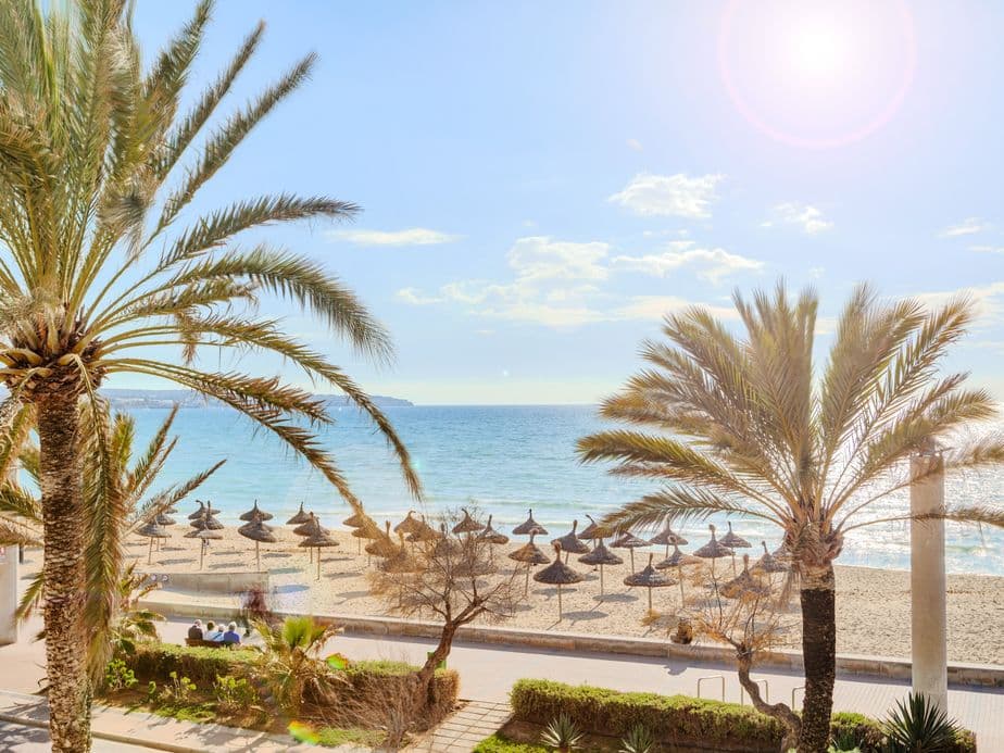 Vista panoràmica de la Playa de Palma, amb palmeres que bordeixen la sorra, oferint una escapada perfecta davant del mar i vistes cristal·lines del Mediterrani