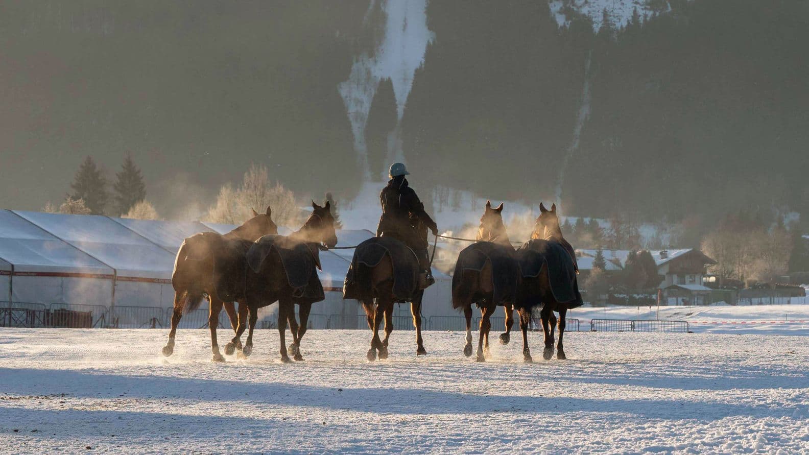 A person leads a group of horses through a snowy field with mist rising in the cold air. Mountains and buildings are in the background.