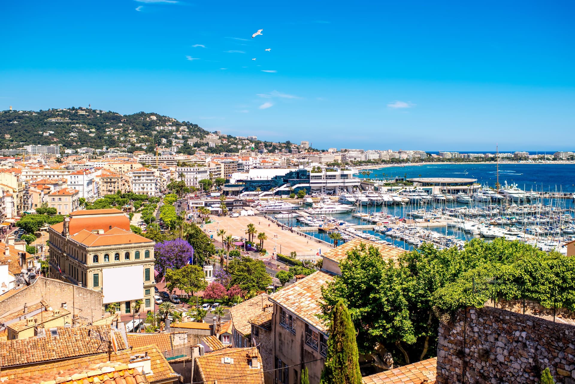 Vue panoramique de Cannes, en France, avec un port de plaisance rempli de bateaux, des bâtiments aux toits de tuiles orange et un ciel bleu clair.