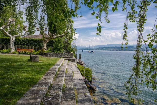 Lakefront seating area under trees with scenic view over Lake Zurich on the Gold Coast