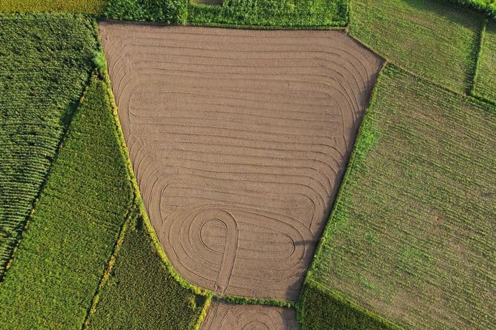 land