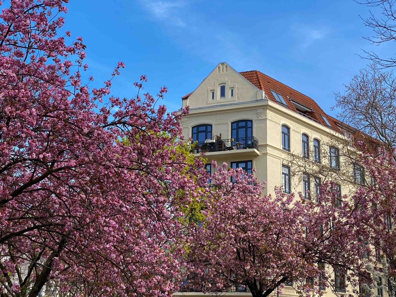 A beige-coloured building with a red roof is surrounded by pink blossoming cherry blossom trees under a clear blue sky.