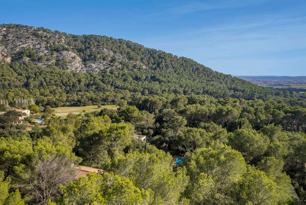 Areal view of peaceful residential area of Crestatx, located near Pollensa, featuring quiet streets, greenery, and charming Mediterranean-style homes