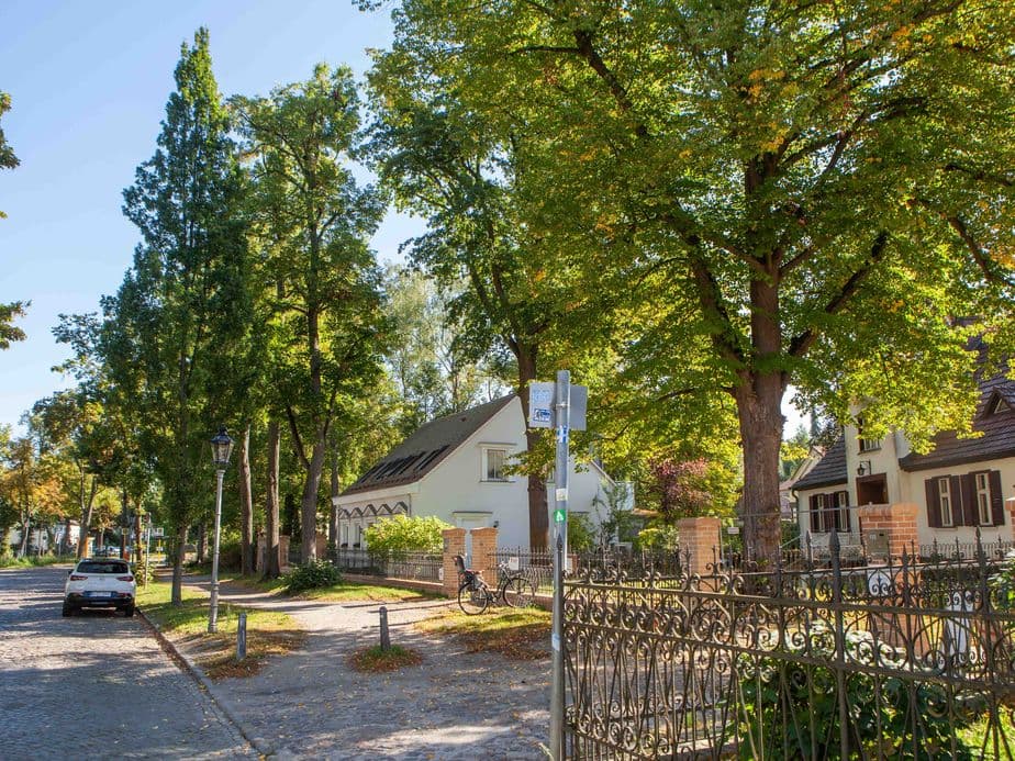 Tree-lined street with parked cars, houses, and a wrought iron fence under a clear blue sky.