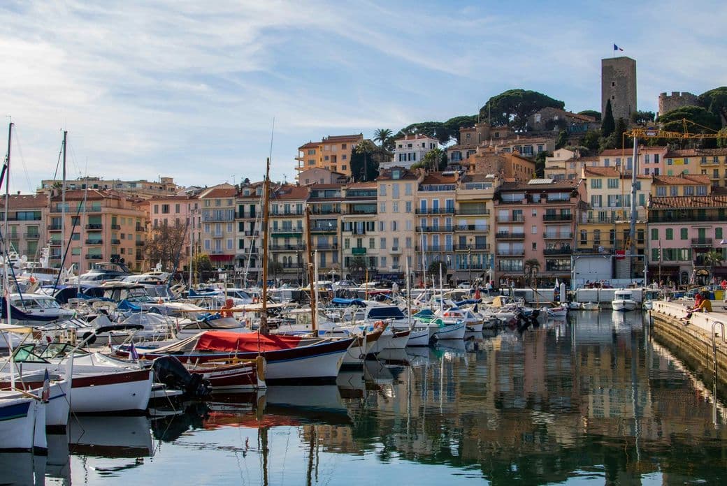 Marina with numerous boats docked, colorful buildings in the background, and a hillside topped with greenery under a blue sky.