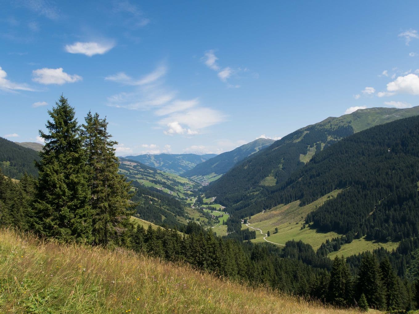 Idyllische Landschaft von Saalbach-Hinterglemm mit grünen Wiesen, Wäldern und Berggipfeln unter klarem blauem Himmel.