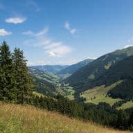 Idyllische Landschaft von Saalbach-Hinterglemm mit grünen Wiesen, Wäldern und Berggipfeln unter klarem blauem Himmel.