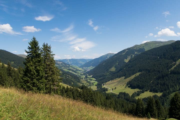 Idyllische Landschaft von Saalbach-Hinterglemm mit grünen Wiesen, Wäldern und Berggipfeln unter klarem blauem Himmel.
