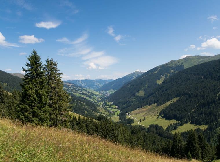 Idyllische Landschaft von Saalbach-Hinterglemm mit grünen Wiesen, Wäldern und Berggipfeln unter klarem blauem Himmel.