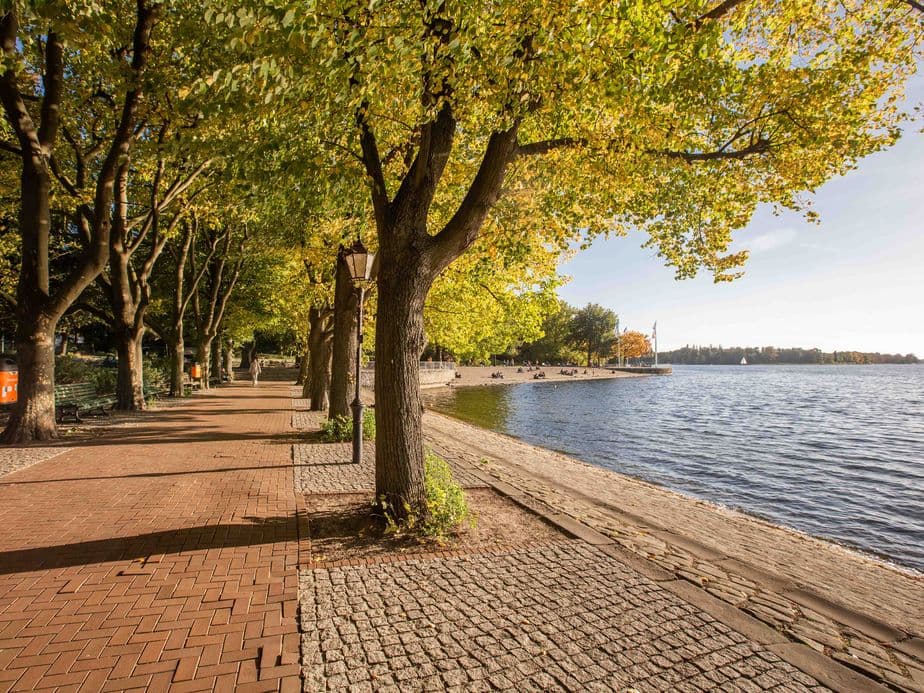 Tree-lined pathway beside a calm lake, with sunlight filtering through green leaves and a clear blue sky overhead.