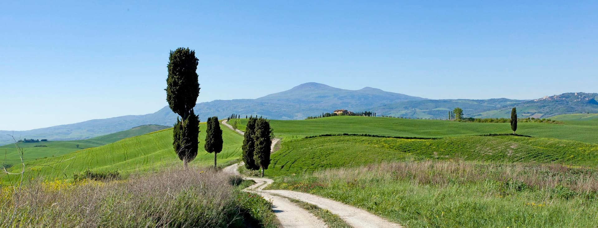 A winding dirt path through rolling green hills with scattered cypress trees under a clear blue sky. A distant mountain is visible.