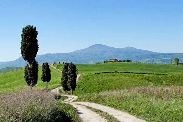 A winding dirt path through rolling green hills with scattered cypress trees under a clear blue sky. A distant mountain is visible.