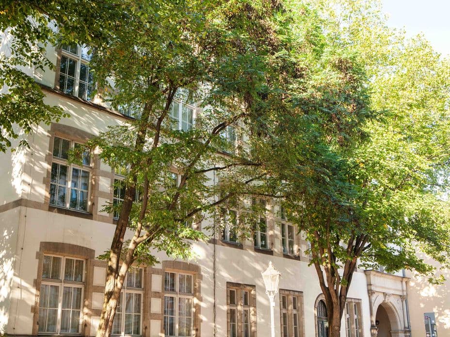 A sunlit building with large windows, surrounded by lush green trees casting dappled shadows on the facade.