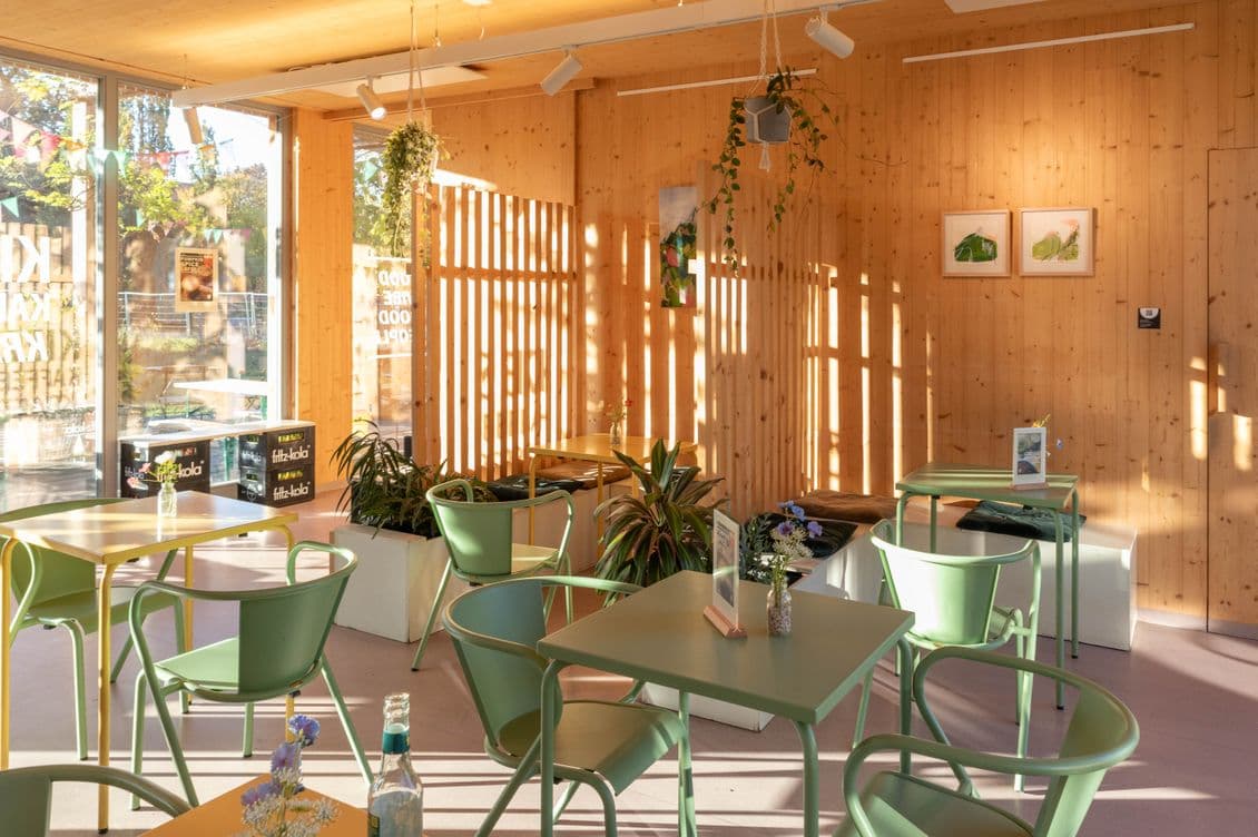 Sunlit café interior with wooden walls, green metal chairs, and tables. Potted plants hang and sit on tables, creating a cozy atmosphere.