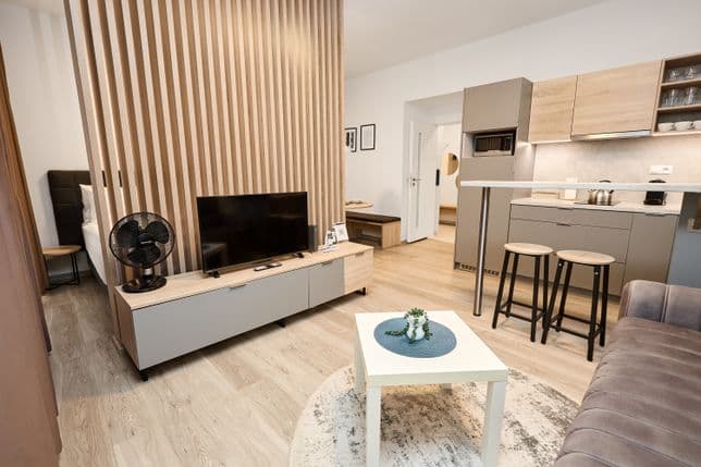 Modern studio interior divided by a wooden slatted partition. The front part features a living area with a low TV cabinet, television and a small fan. A white coffee table stands on a round rug in front of the sofa. On the right side there is a kitchenette with grey cabinets, upper units in wood finish and a breakfast bar with two high stools. Behind the partition, part of the sleeping area with a bed and bedside table is visible. The floor has a light wood finish.