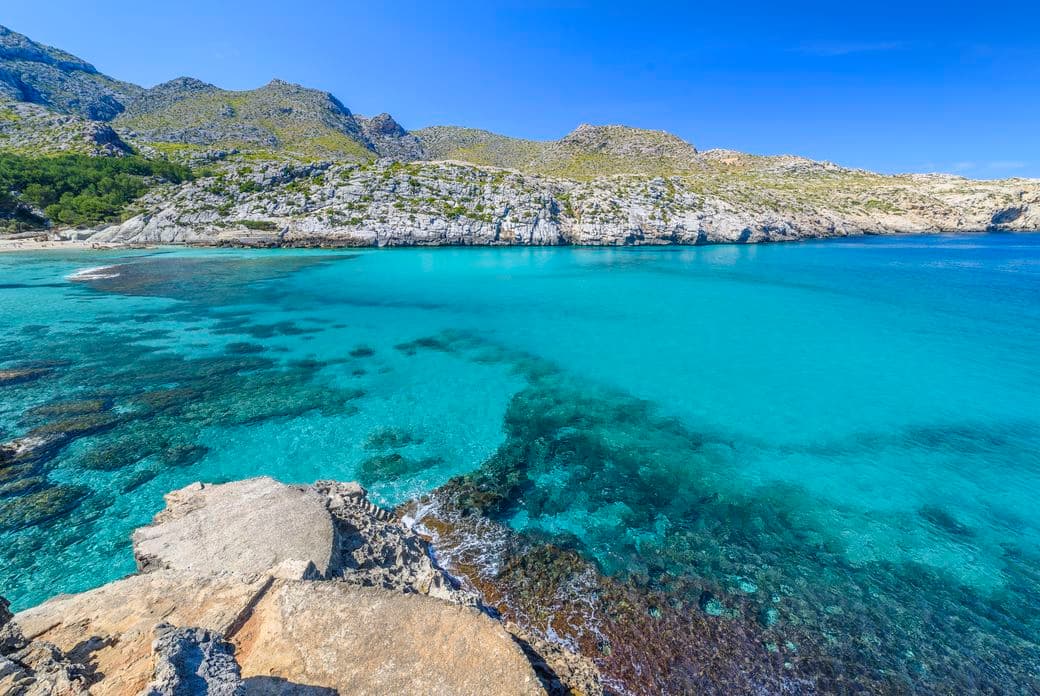 View of the mountains from Cala Sant Vicens beach, with crystal-clear waters and a scenic landscape in Pollensa