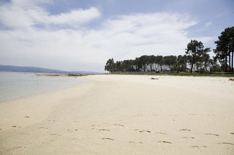Vista de la platja de Salinas i el seu pi - sorra blanca i molt salvatge amb arbres a l'horitzó.