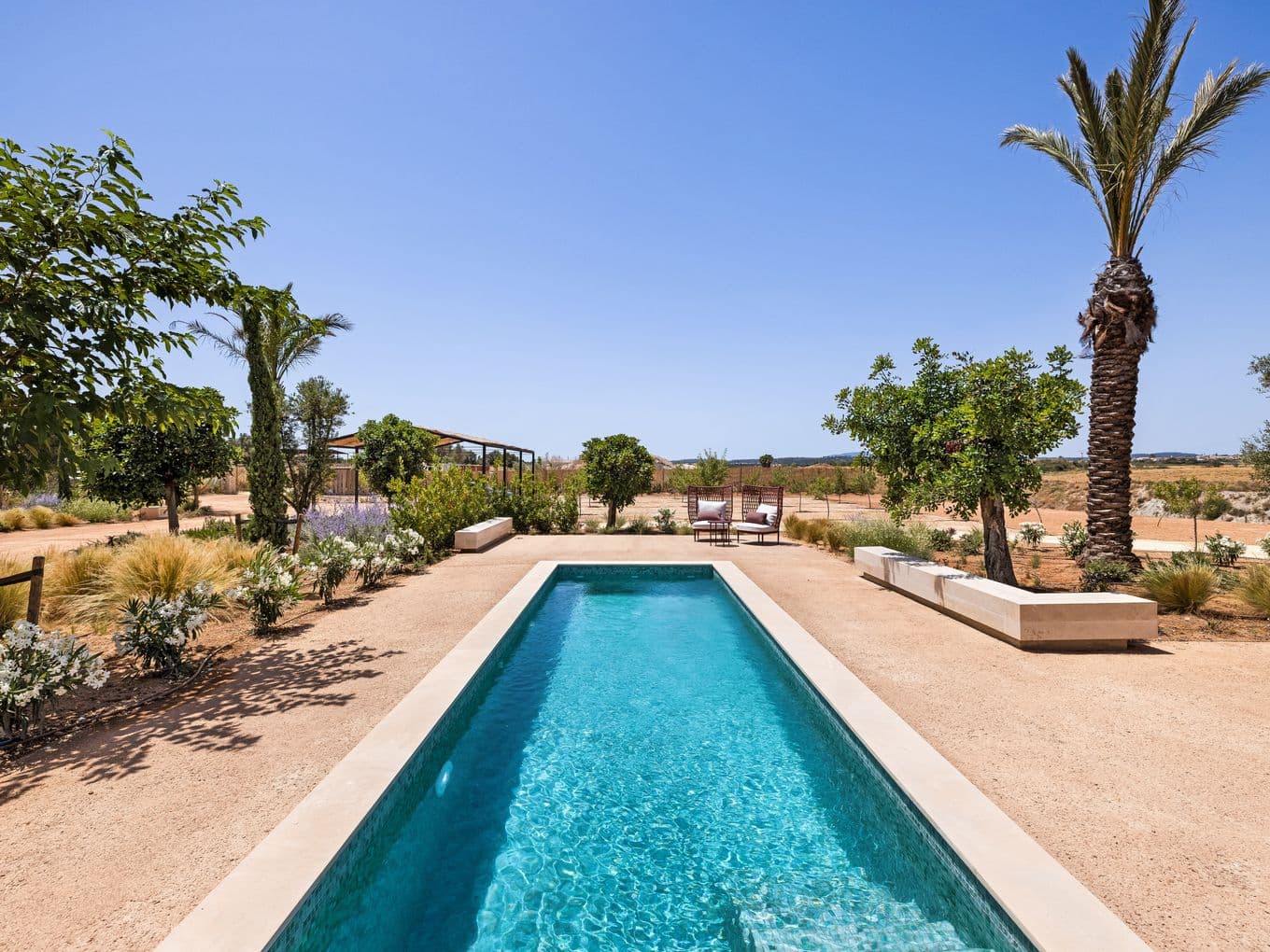 Long rectangular turquoise pool in a sunlit desert garden with palm trees, shrubs and two lounge chairs under a clear blue sky.