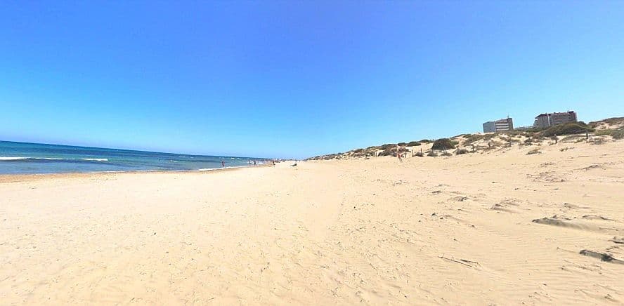 Vista de la Platja Les Ortigues Torrevella amb la seva sorra blanca i el mar a l'horitzó.
