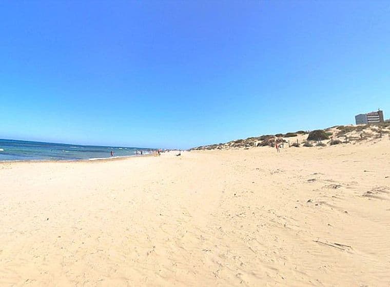 Vista de la Platja Les Ortigues Torrevella amb la seva sorra blanca i el mar a l'horitzó.