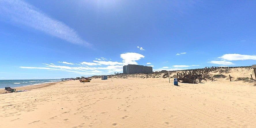 Vista de la Platja del Camp Torrevella amb la seva sorra i aspecte salvatge.