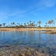 Aguas Nuevas. Es veu una cala cristal·lina amb palmeres.