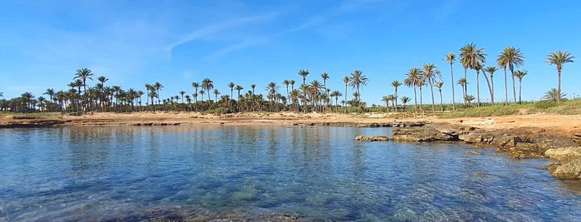 Aguas Nuevas. Se ve una cala cristalina con palmeras.
