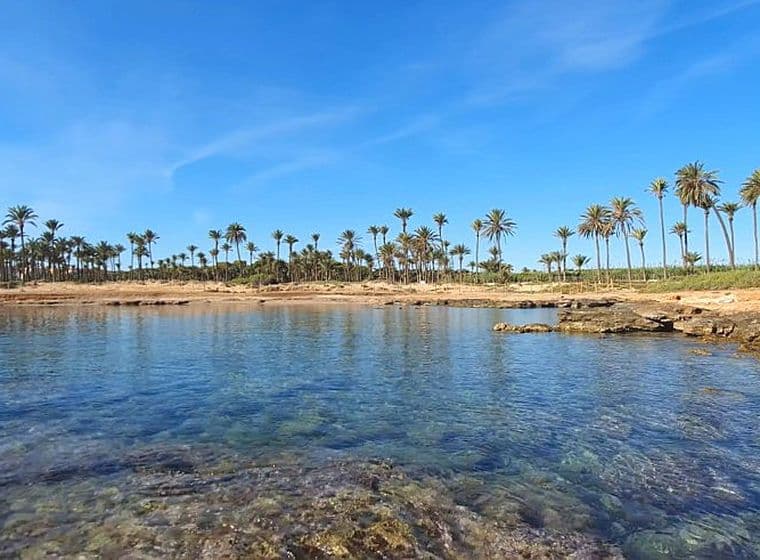 Aguas Nuevas. Es veu una cala cristal·lina amb palmeres.
