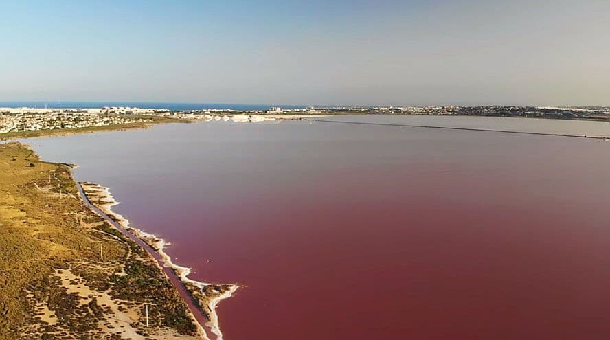 Vista panoràmica de la Llacuna Rosa de Torrevella amb el seu llac rosa.