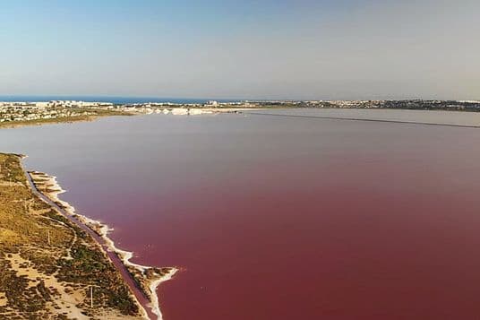Vista panoràmica de la Laguna Rosa de Torrevieja con su lago rosa