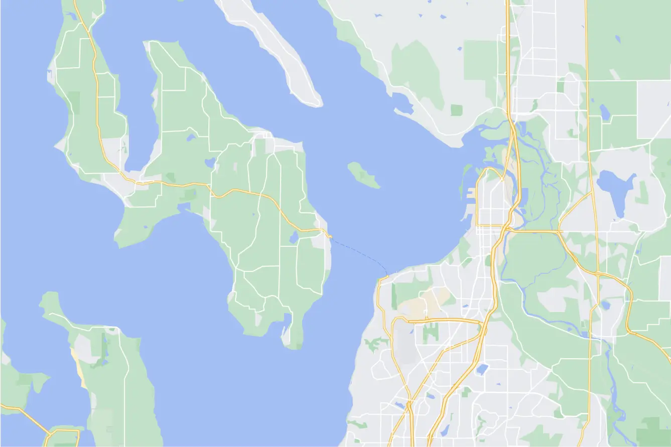 Google Maps Placeholder