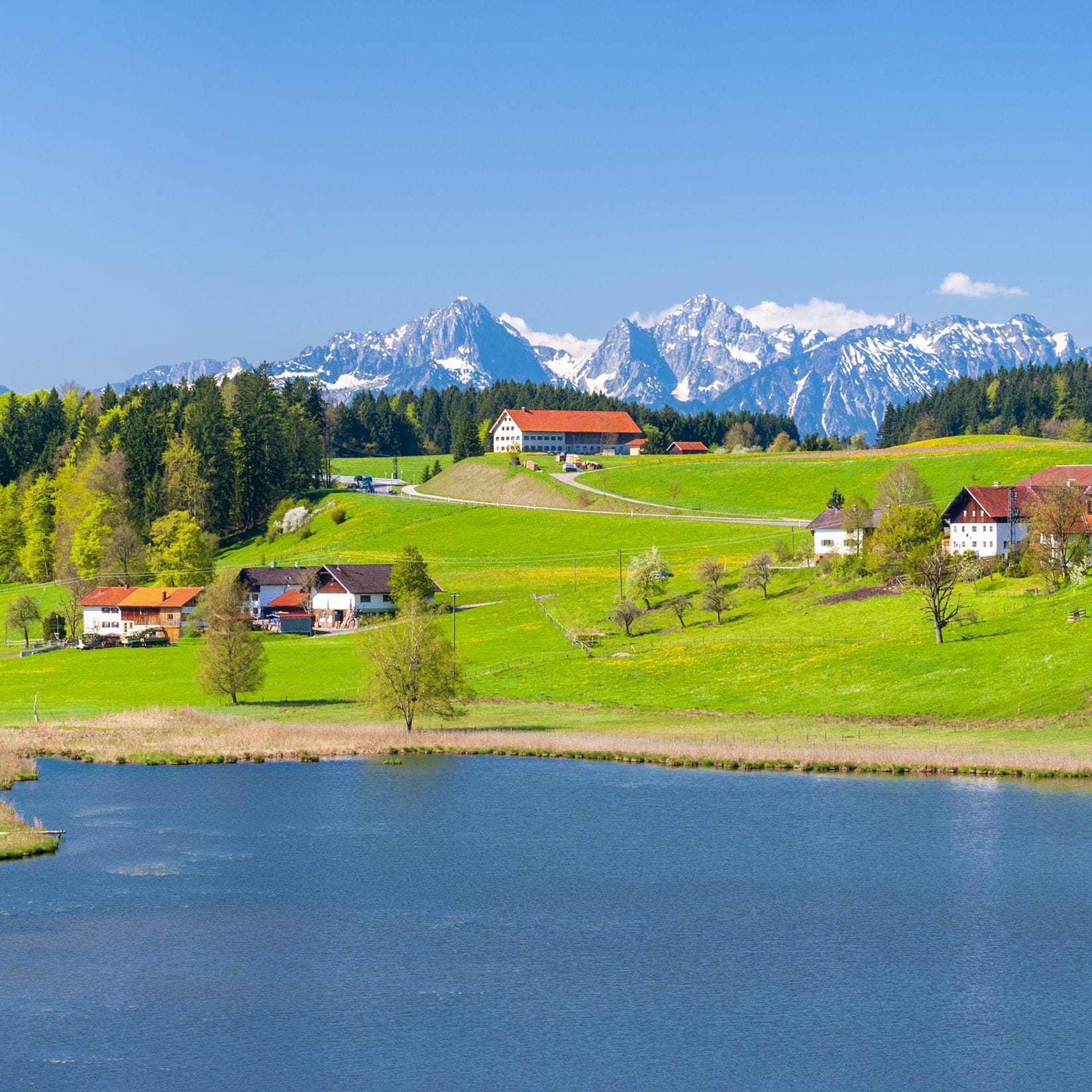 Malerischer Blick auf einen blauen See, umgeben von grünen Hügeln, Häusern, Bäumen und schneebedeckten Bergen unter einem klaren blauen Himmel.