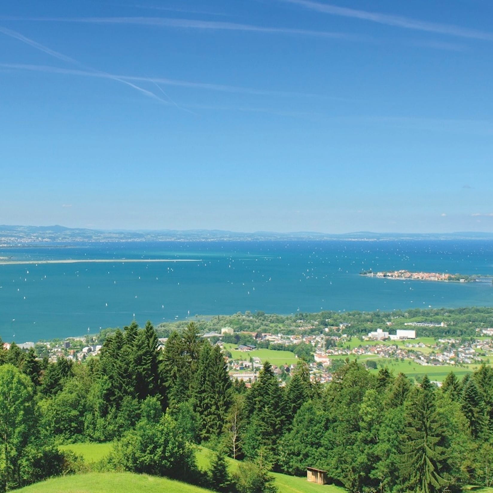 Malerischer Blick auf den Bodensee mit Segelbooten, grünen Hügeln und einem klaren, blauen Himmel.
