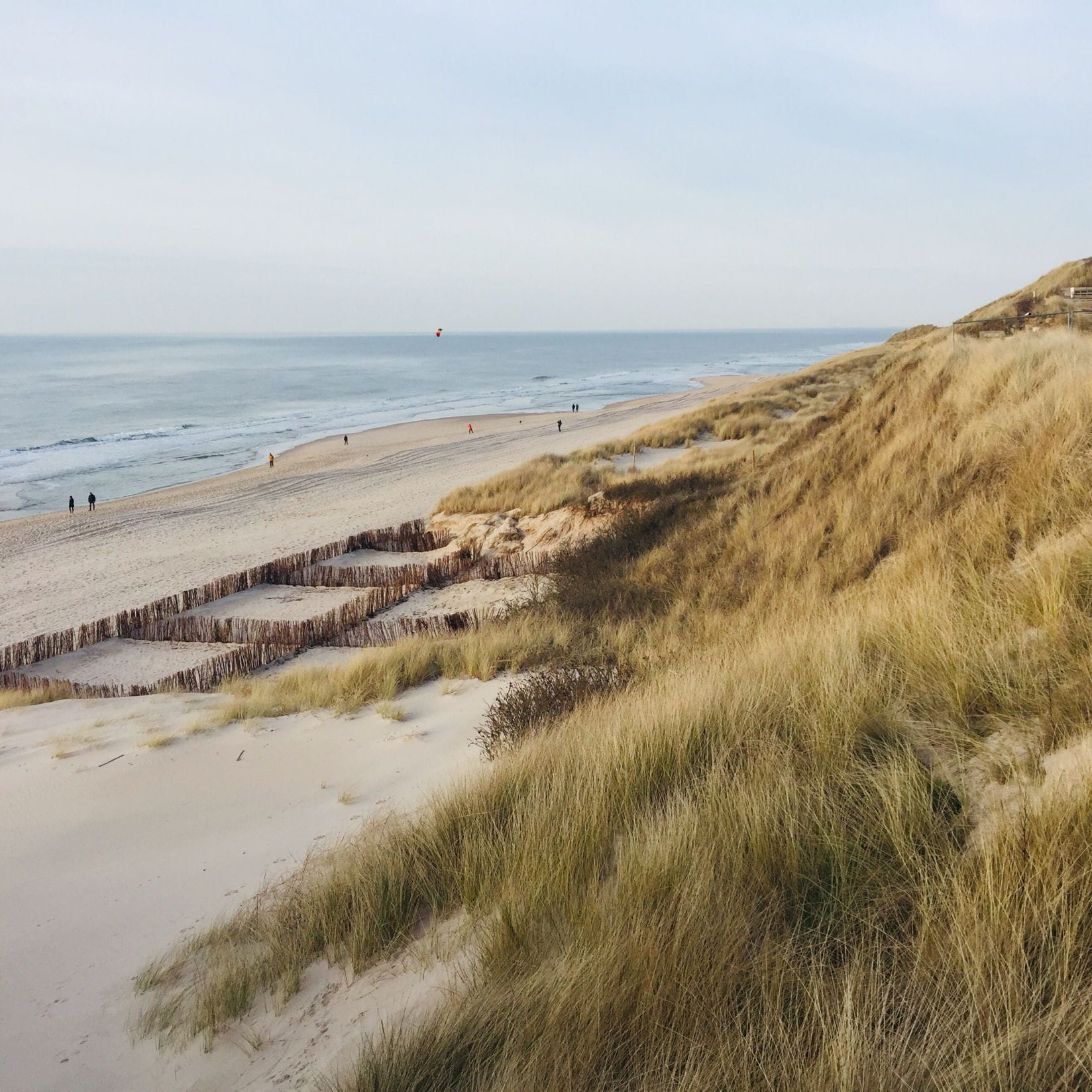 Sandy beach view from a dune with grass, showing people walking along the shore near the ocean.