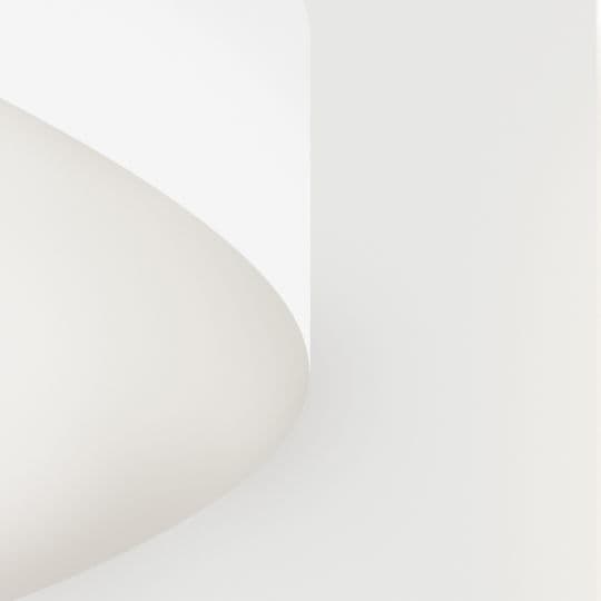 Φωτογραφία πορτρέτου του Vasiliki Begieti