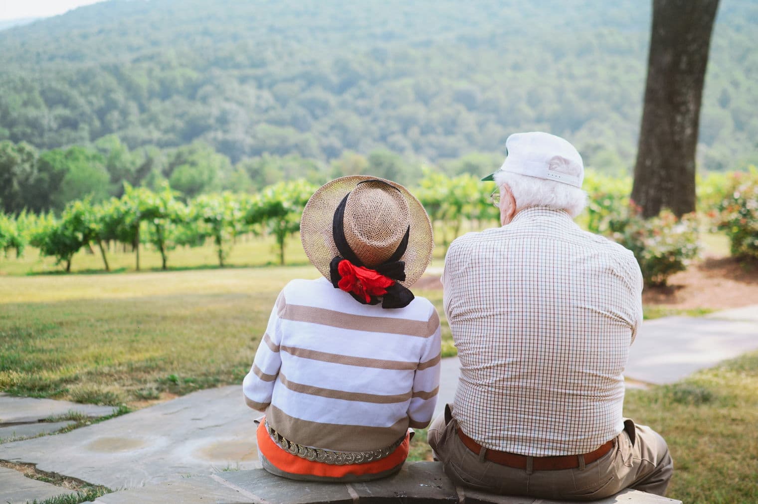 An elderly couple sits on a stone wall, backs to the viewer, gazing at a vineyard and distant green hills.