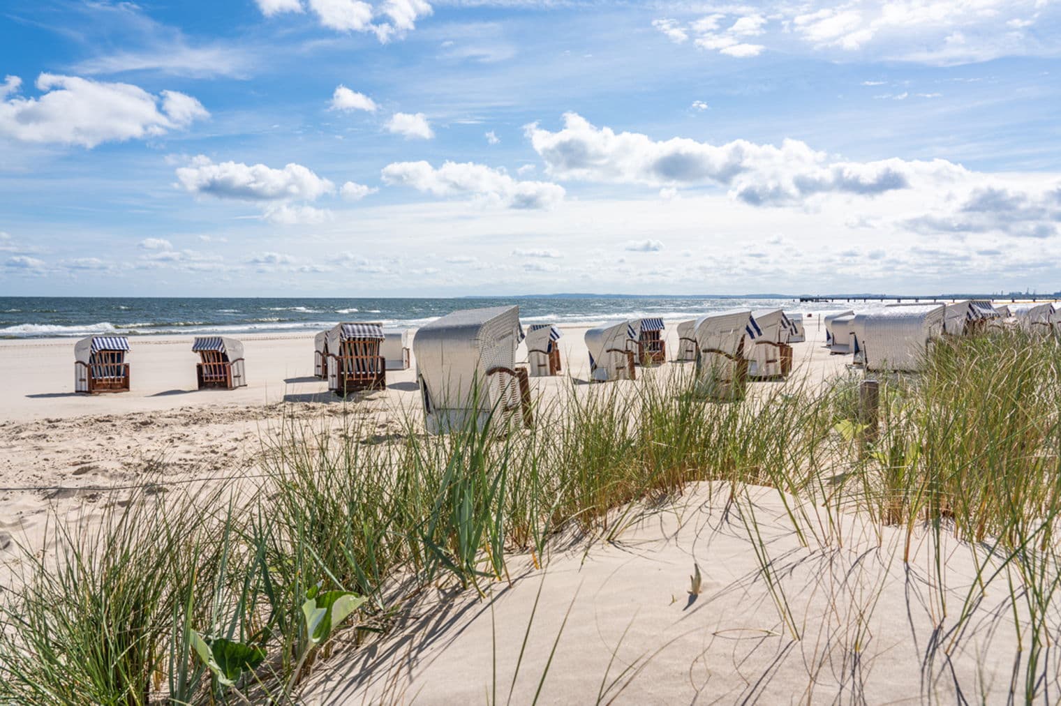 Beach scene with rows of white wicker beach chairs with blue striped canopies, tall grass in foreground, ocean and cloudy blue sky.