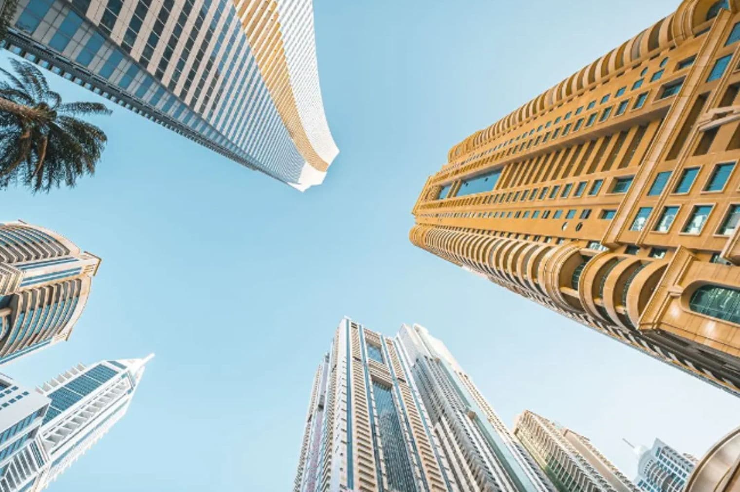 View looking up at tall, modern buildings of various colors against a clear blue sky. A palm tree is visible on the left.