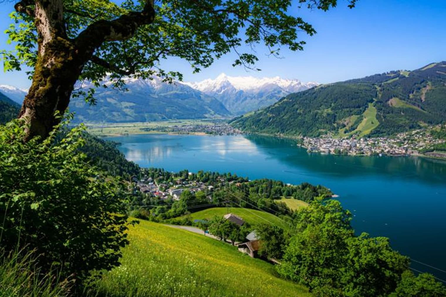 Malerischer Blick auf den Zeller See in Österreich mit schneebedeckten Bergen im Hintergrund. Üppige grüne Hügel und eine charmante Stadt säumen das Ufer des Sees.