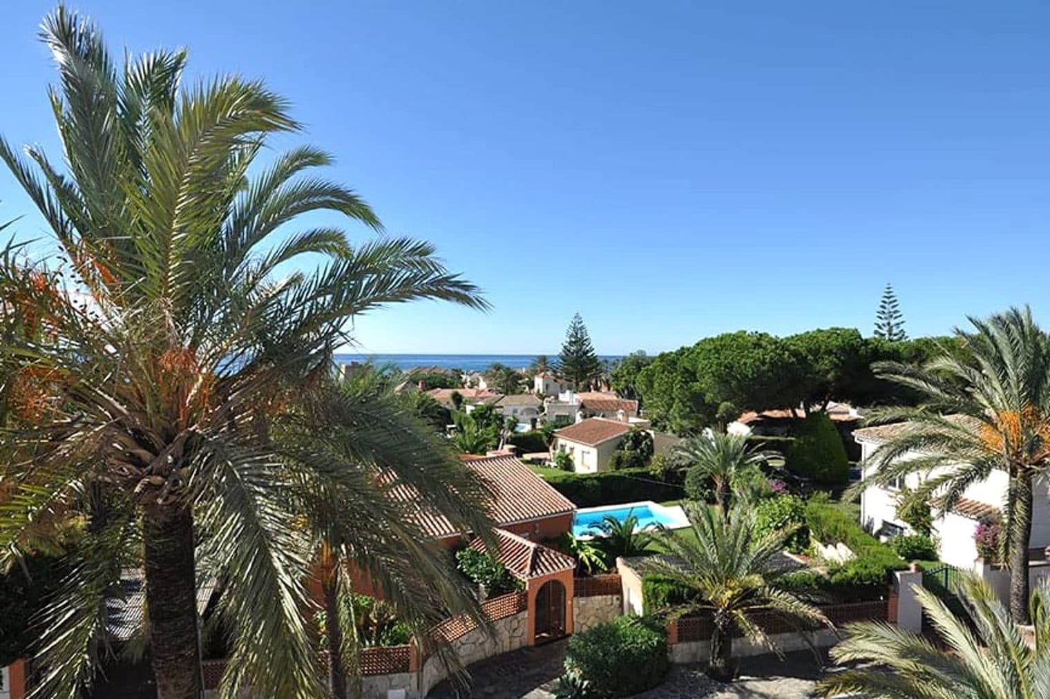 Palm trees frame a view of homes with red tile roofs, a blue pool, and the ocean under a clear blue sky.