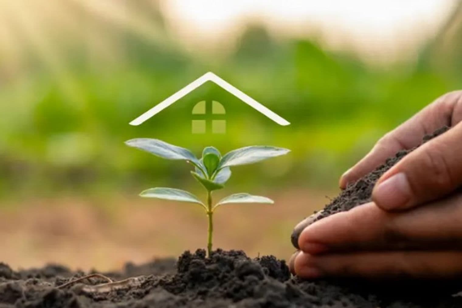 Hand planting a seedling in soil, with a house icon above, symbolizing growth and home ownership. Green background.