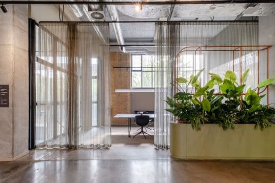 Modern office space with sheer curtains, a desk, a black chair, and a large indoor plant arrangement under industrial-style ceiling pipes.