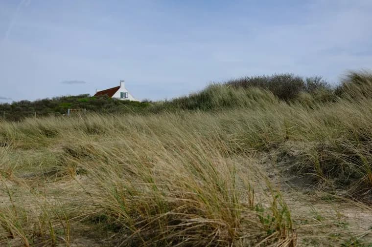 Maison de plage avec un toit rouge, vue depuis des dunes herbeuses sous un ciel bleu.