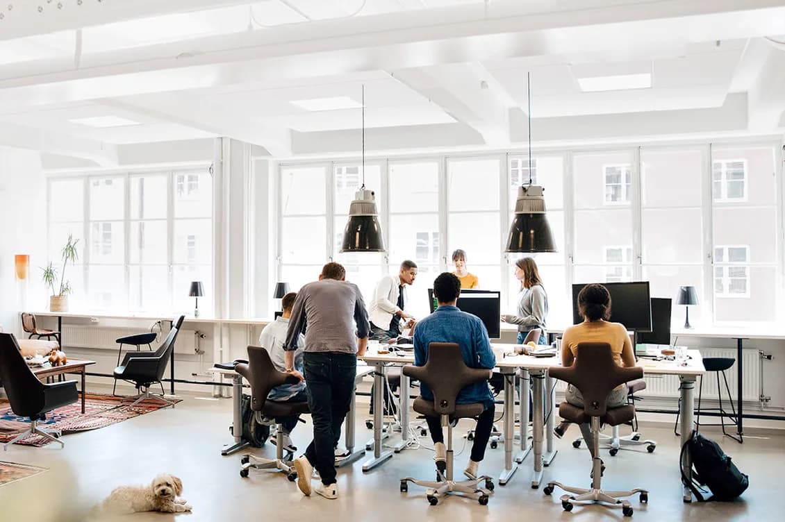 Bright open-plan office with a team around desks, large windows, and hanging lights; a small white dog rests on the floor.