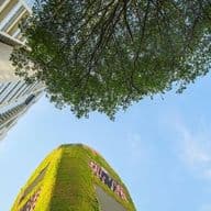Low-angle view of modern city buildings, a tree canopy, and a green facade against a blue sky.