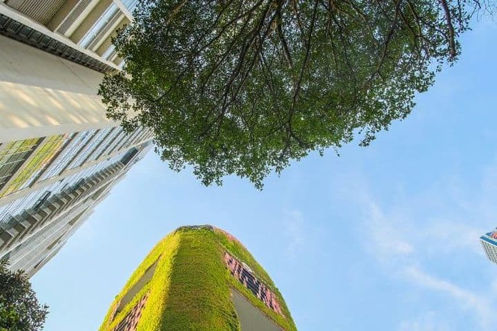 Low-angle view of modern city buildings, a tree canopy, and a green facade against a blue sky.