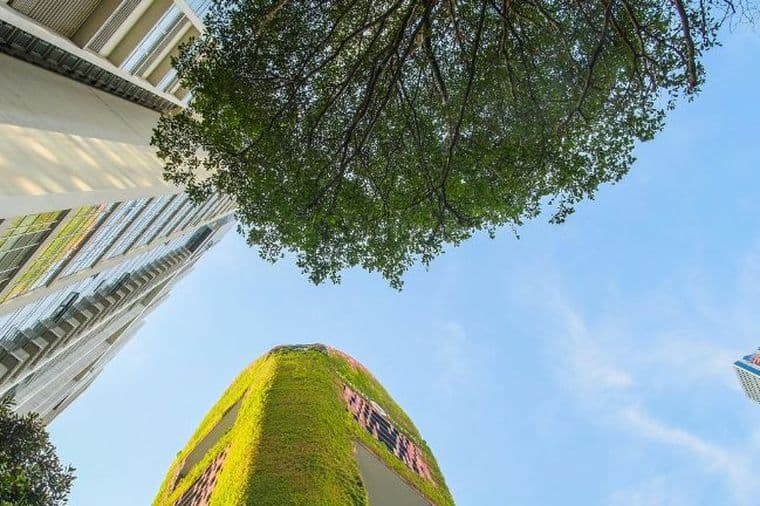 Low-angle view of modern city buildings, a tree canopy, and a green facade against a blue sky.