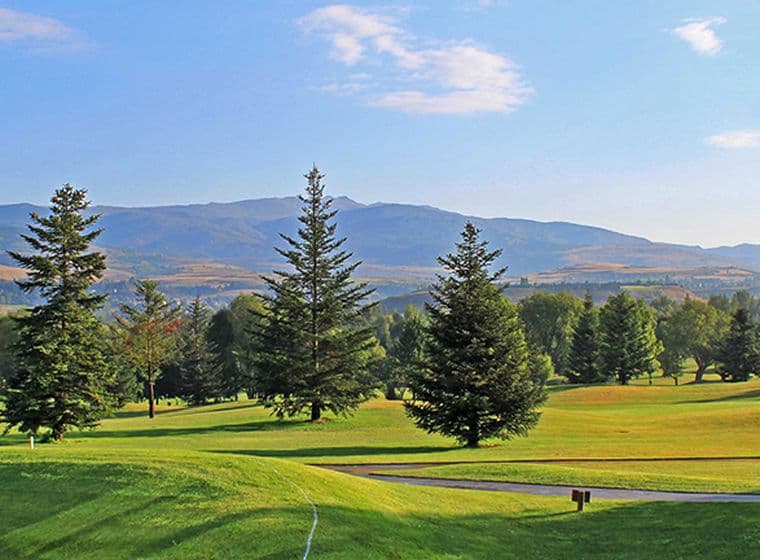 Camp de golf amb gespa verda envoltat de pins i muntanyes.
