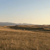 A person stands in a golden meadow, gazing at rolling hills and distant mountains beneath a pale evening sky.